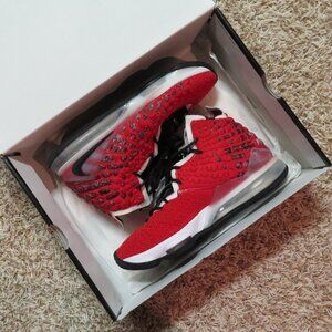Nike Lebron 17 Men's Basketball Shoes